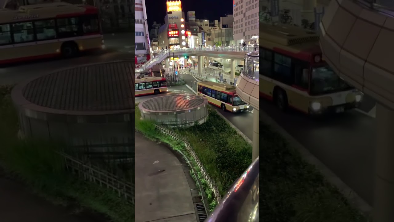 japan bus#short#bus