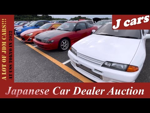 Japanese Car Dealer Auctions are a Treasure Trove!!! /2022 USS TOKYO / JDM / J cars