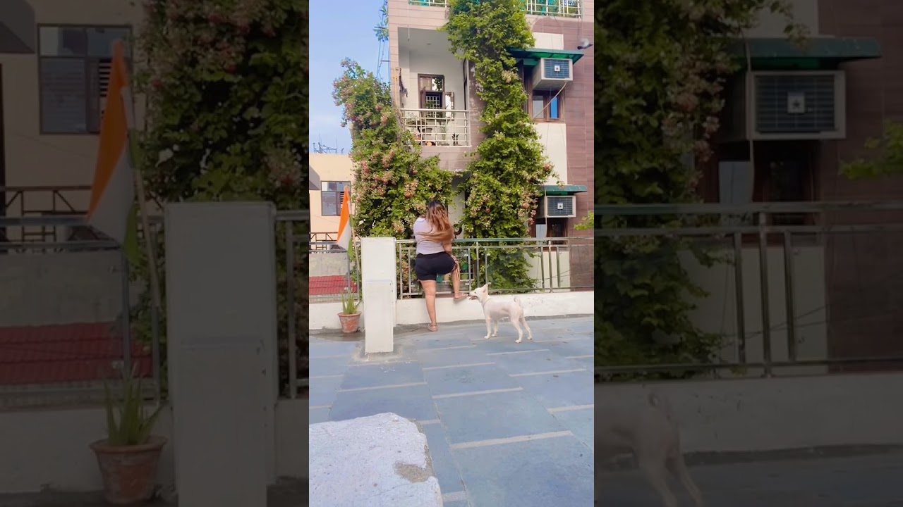 Jassi Queen 32