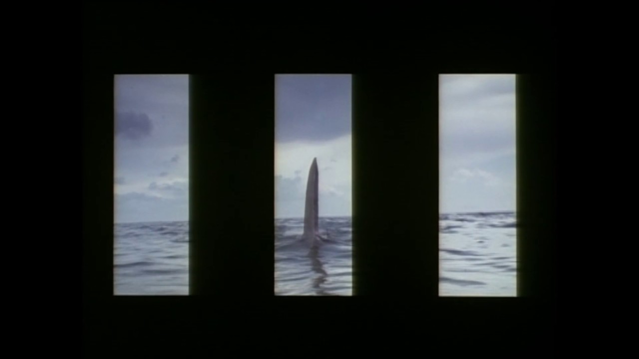 Jaws 3-D | Theatrical Trailer | 1983