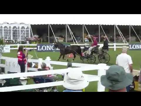 Jennifer Keeler on PONY carriage Speider Light at Live Oak International