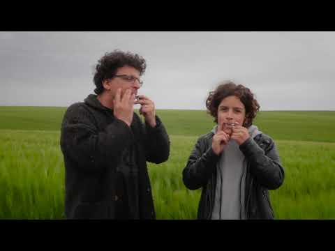 Jew's harp in the field