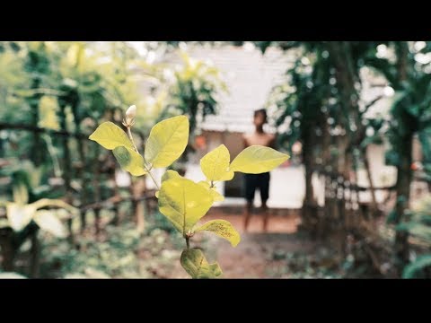 Job Kurian - Mulla (Hope project)