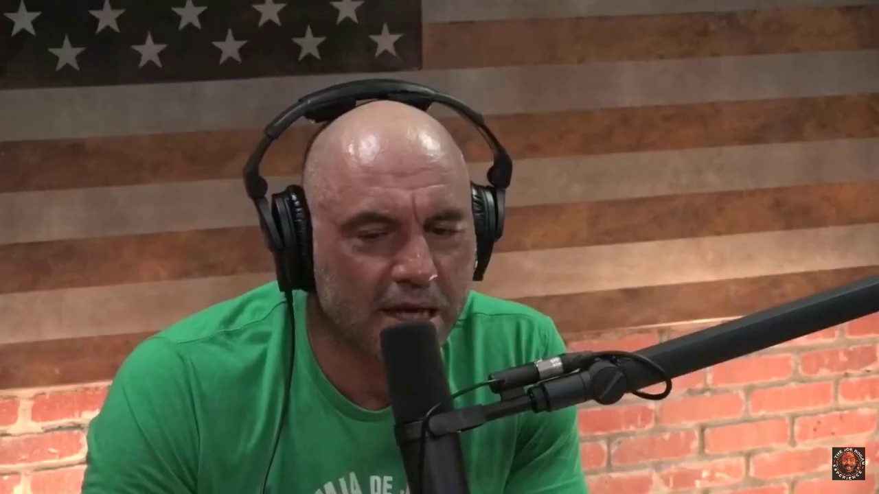 Joe Rogan & Israel Adesanya on UFC Fighter Edmen Shahbazyan ( The Golden Boy )