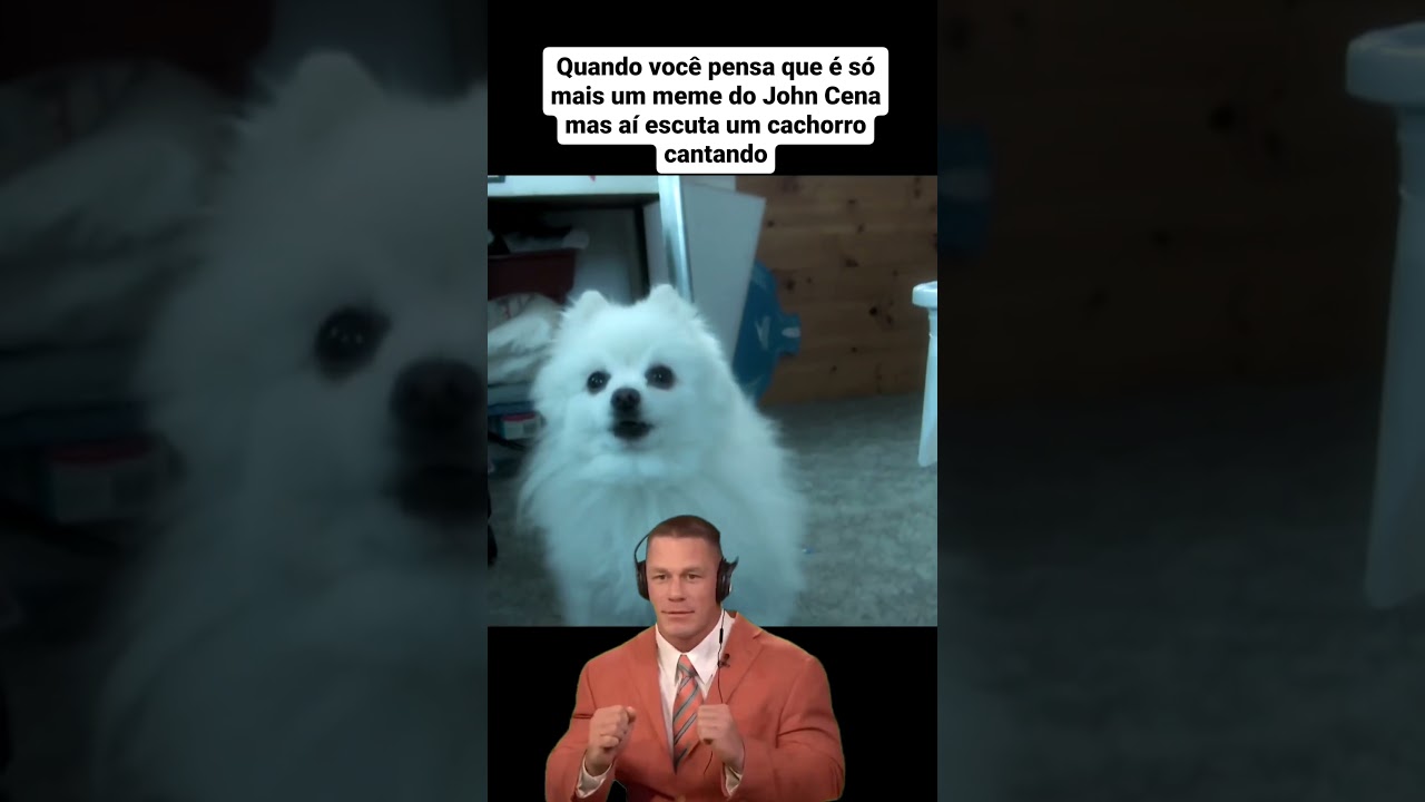 John Cena dançando em cachorrês