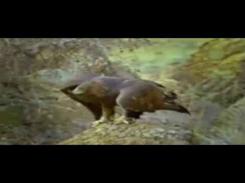 John Denver: Let This Be a Voice (1998)