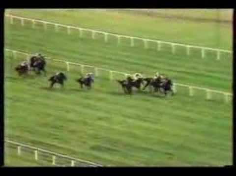 John Henry winning 1981 Arlington Million