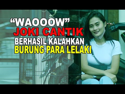 JOKI Cantik - Kalahkan Burung Para LELAKI