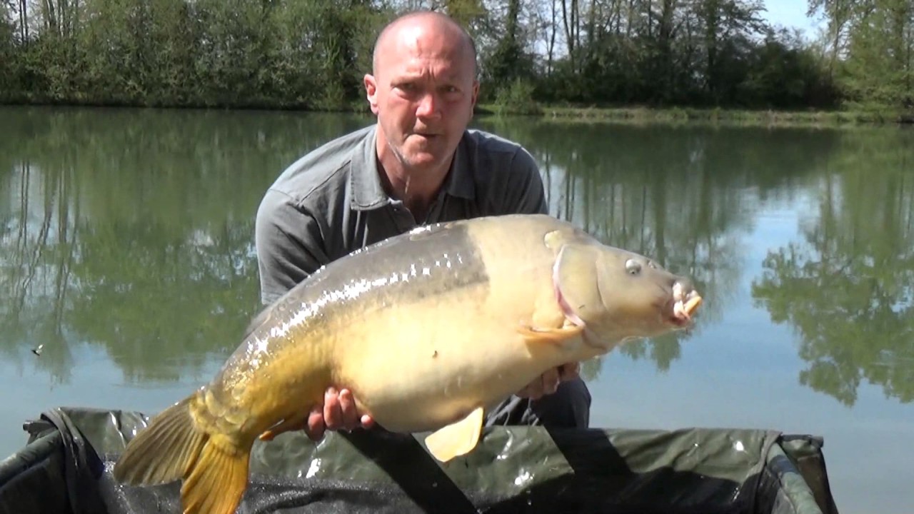Jonchery 7, France - Carp Fishing Holiday