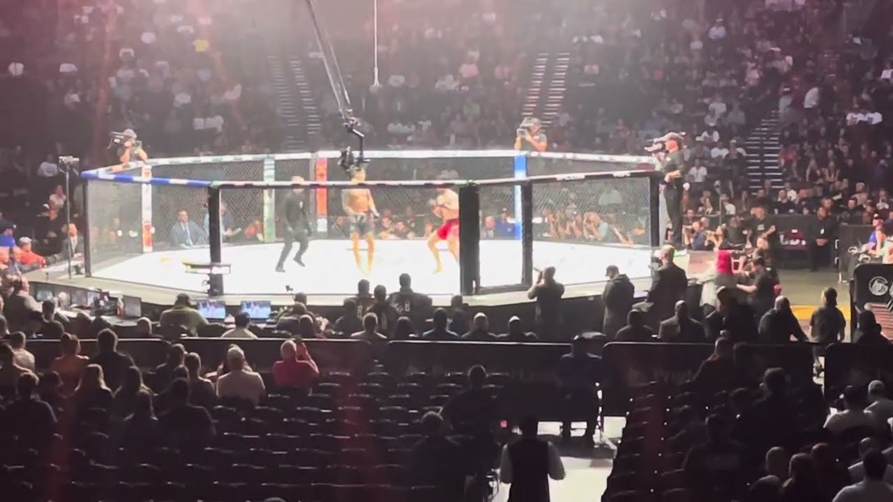 Joo Sang Yoo KOs Jeka Saragih UFC 316