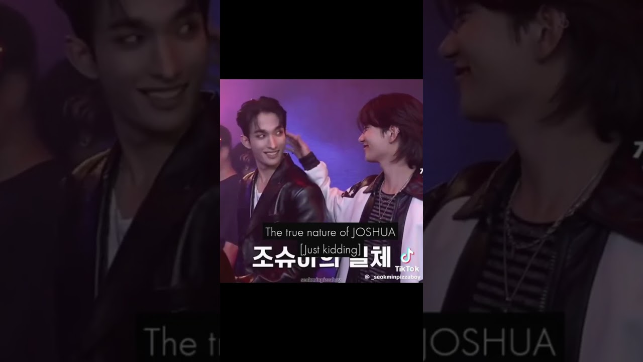 Joshua and Dk ( tiktok edits )🥰😭 || Seoksoo pt.2