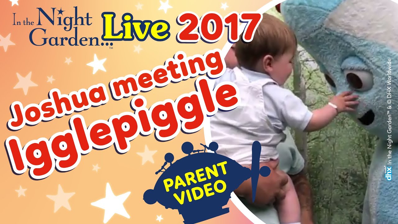 Joshua playing with Igglepiggle at In the Night Garden Live