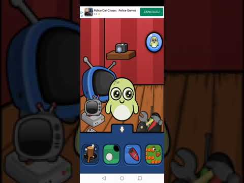 Joy - Virtual Pet Game