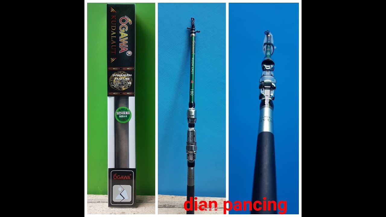 Jual Tegek Ogawa Kuda Laut(hub.081290699300 Wa atau sms)