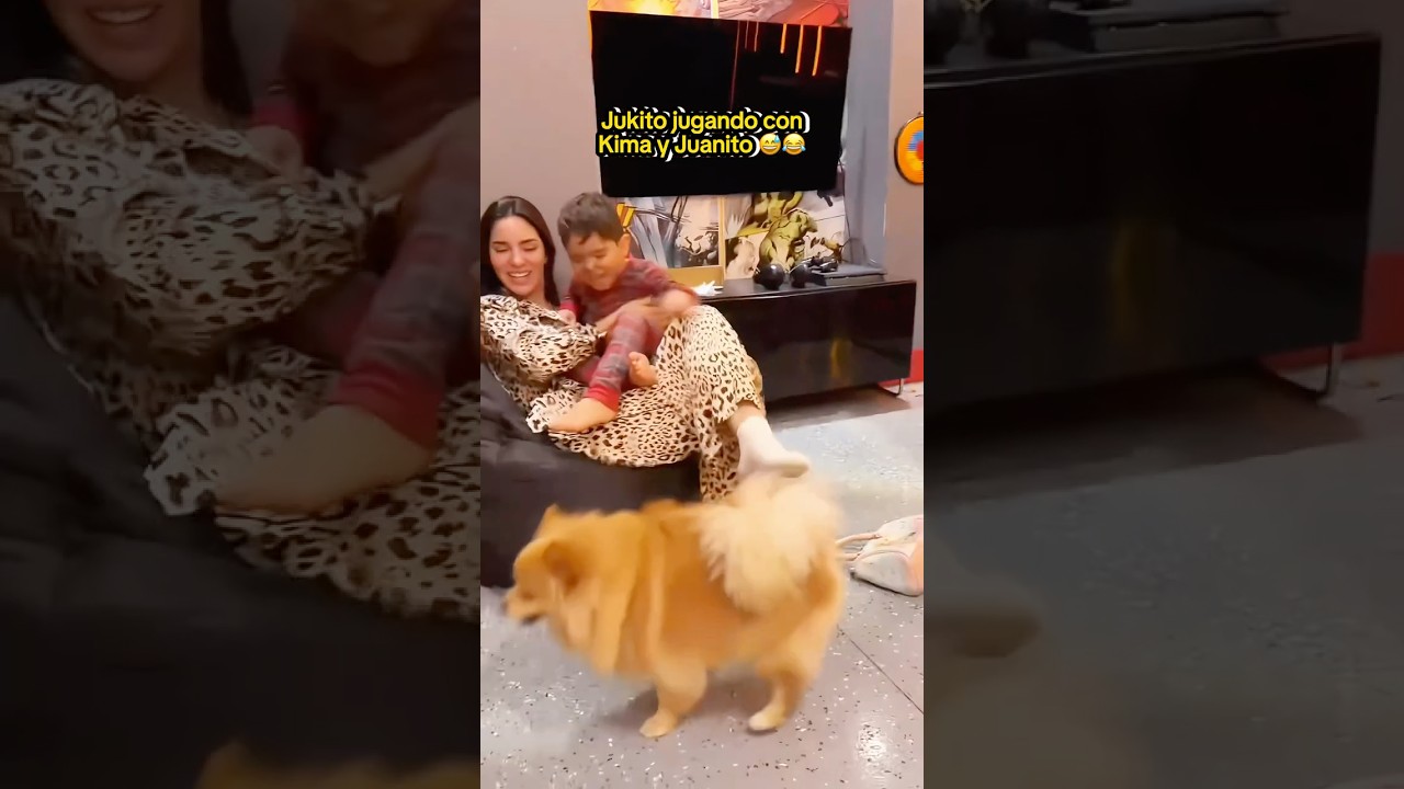 JUKITO PLAYING WITH KIMA AND JUANITO 😅 | #jukilop #shorts #kimberlyloaiza