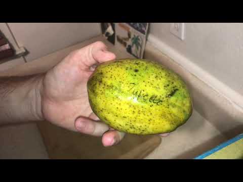 Juliette Mango Taste Test