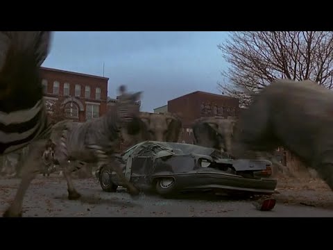 Jumanji [1995] Zebras, Rhinoceros & Elephants Screen Time
