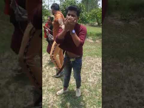 Jungal main mangal krte huve pakde gaye