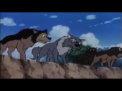 Jungle Book EP9 : More Precious than the Law (Hindi)