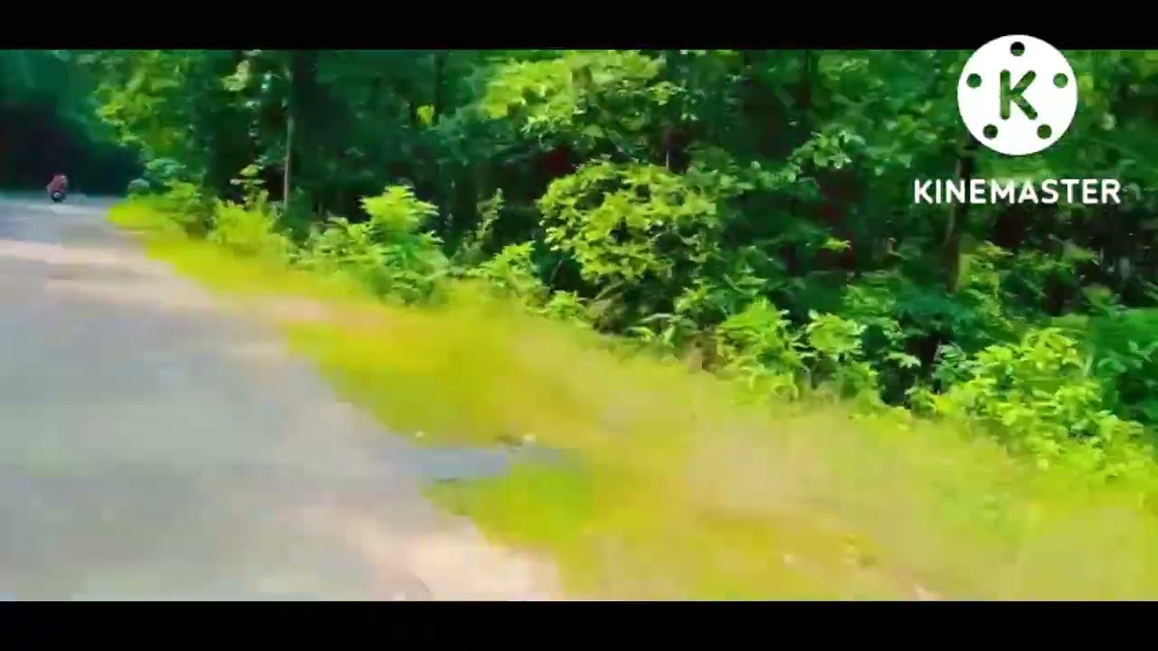 jungle ghumu ghumu 😃👌