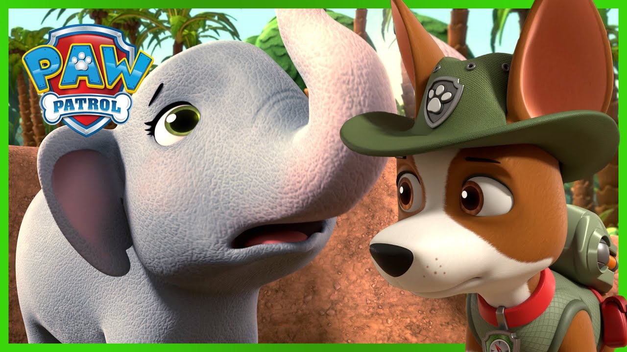 Jungle Rescue Pups save a Baby Elephant! | PAW Patrol | Cartoons for Kids Compilation
