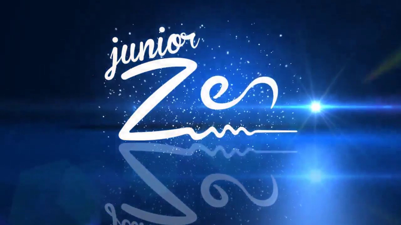 Junior Zen Dodo Fest