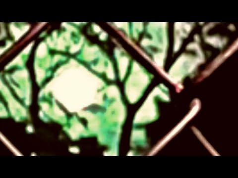 K1LLGRAIN, saraunh0ly - wutiwant (K1LLGRAIN REMIX)
