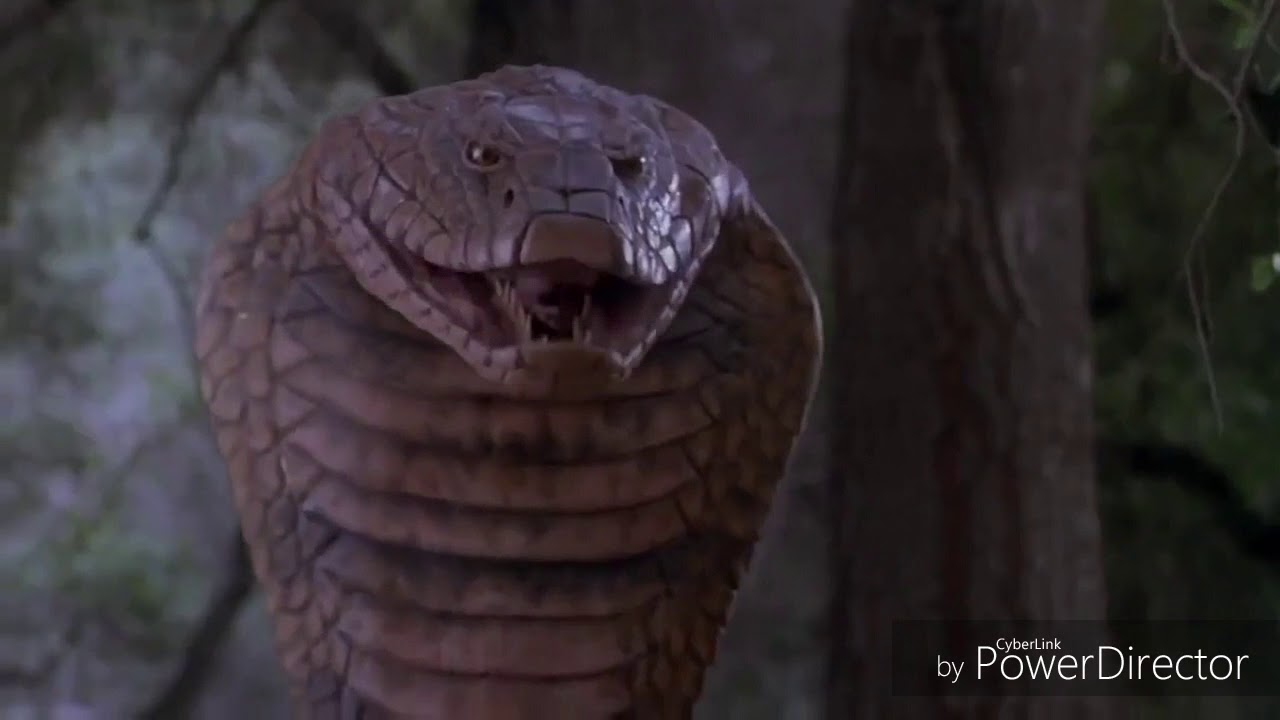 Kaa Weresnake