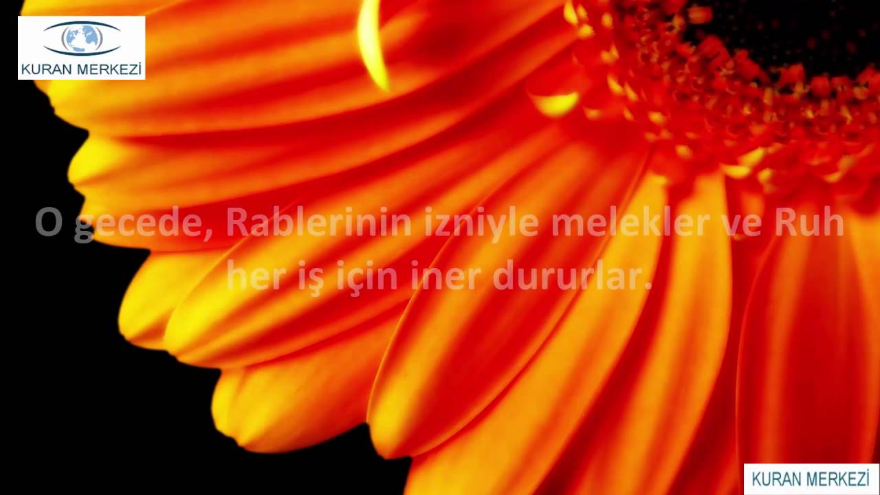 Kadir Suresi--Nasser al Qatami--ناصر القطامي--