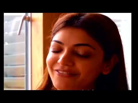 Kajal Agarwal Hot Latest  Clevage show 2017