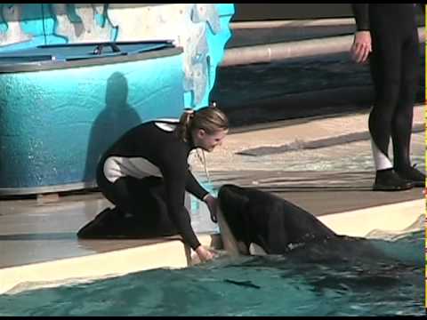 Kalia - High Five (February 2008)