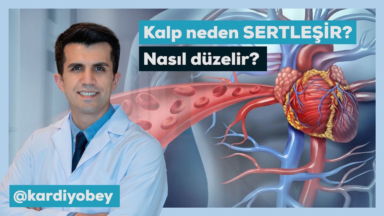 Kalp Duvar Sertleşmesi ve Kalınlaşması Tehlikeli midir?