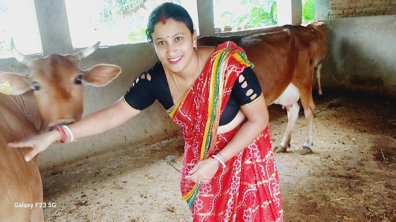 kalyani  vlogs is live