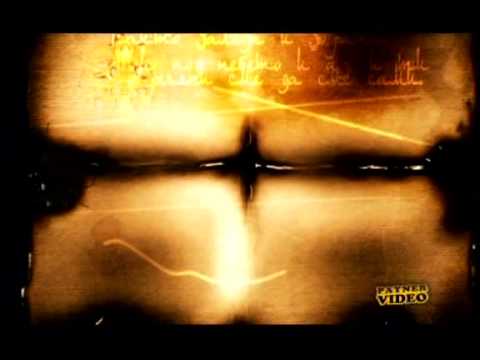 Kamelia-Zaleza I Zorata