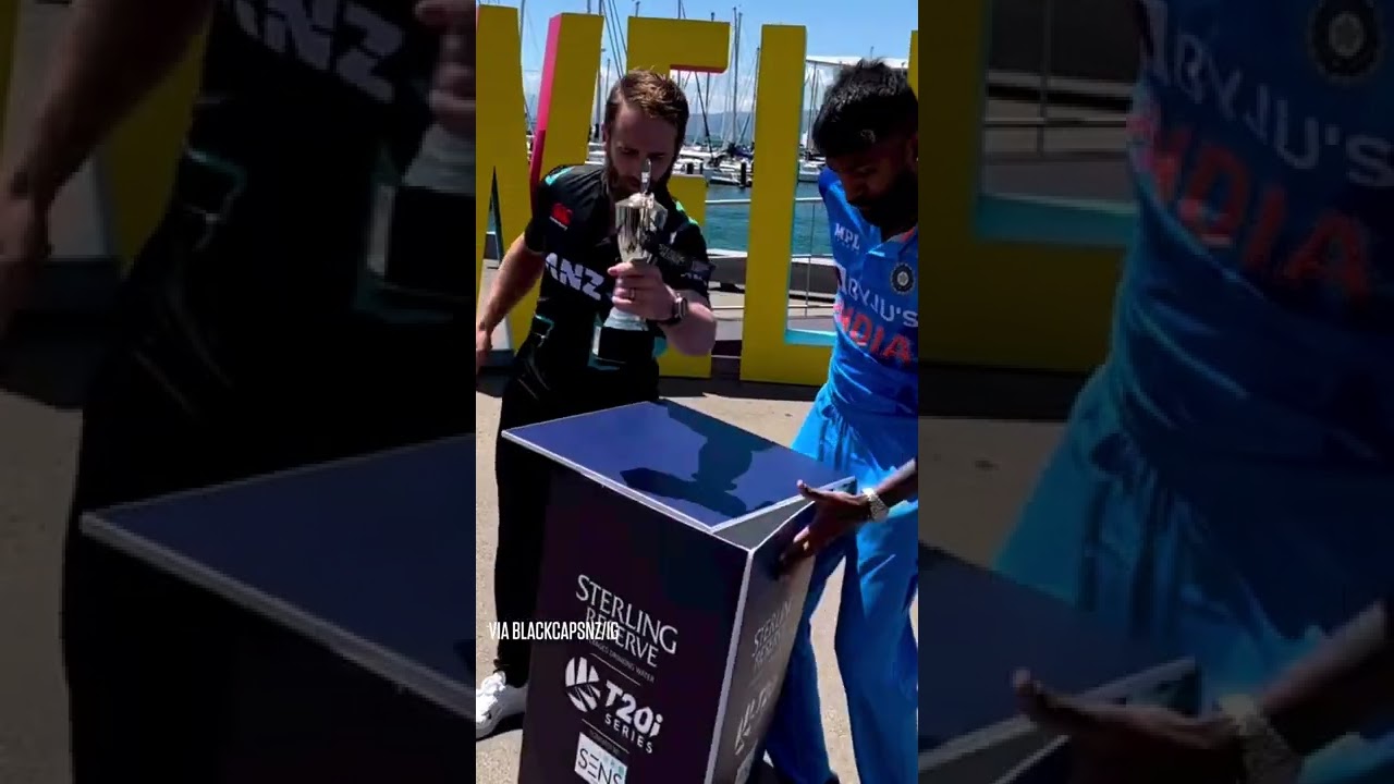 Kane Williamson has a safe pair of hands 😂