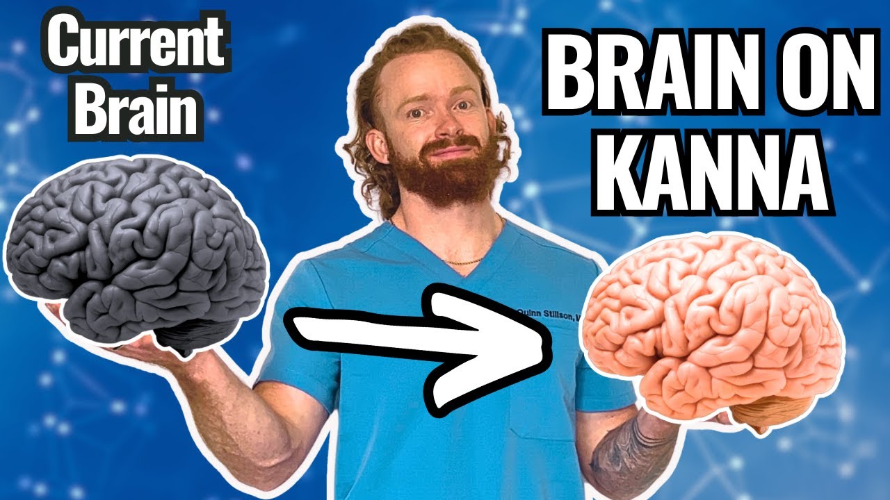 Kanna Supplement Review: Sceletium Tortuosum’s Effect on Cognition and Mood
