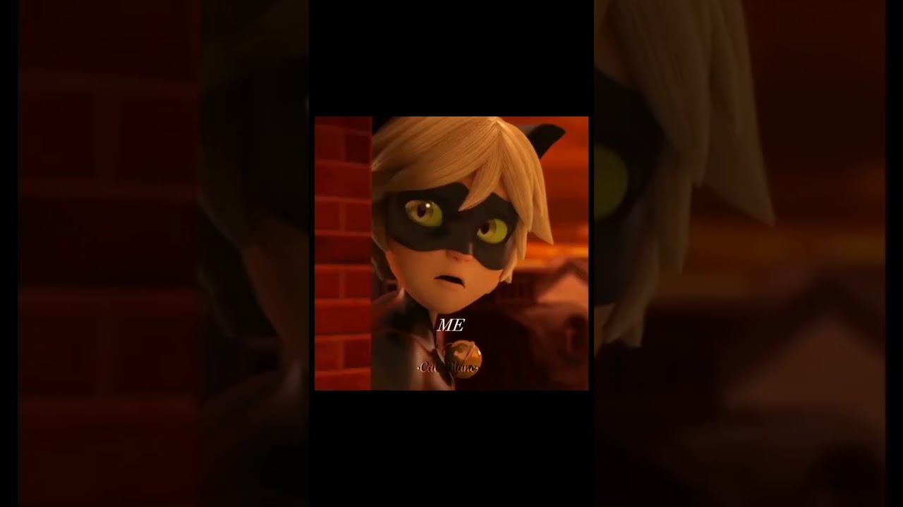 Kara Kedi sad Edit//what about me//4.sezon finali #karakedi #mlb #keşfet #miraculous
