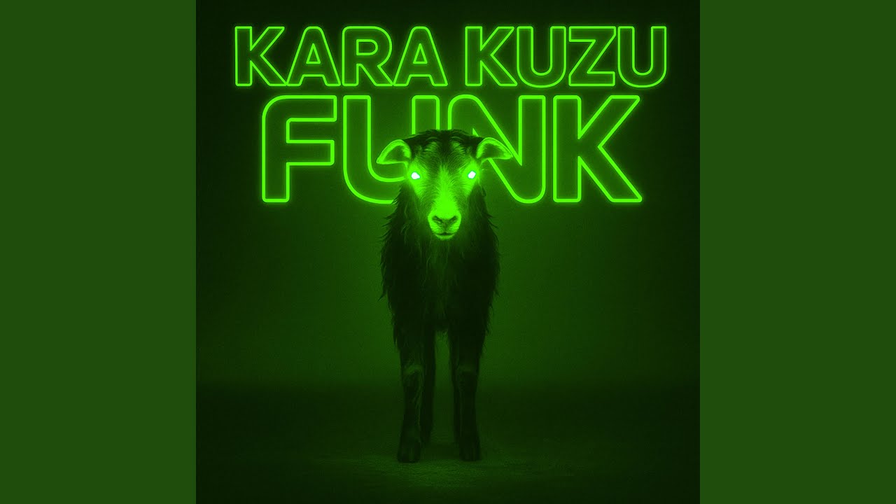 KARA KUZU FUNK