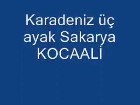 Karadeniz Üç ayak Sakarya Kocaali