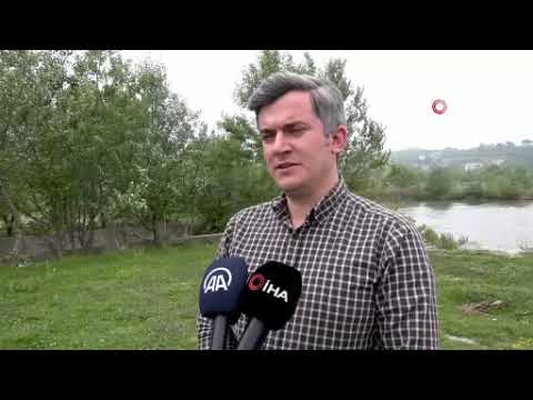 Karasu'da su samurunu fotokapanla görüntüledi
