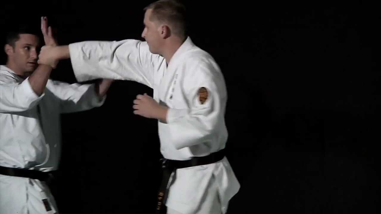 Karate Jutsu introduction - Lionel Froidure