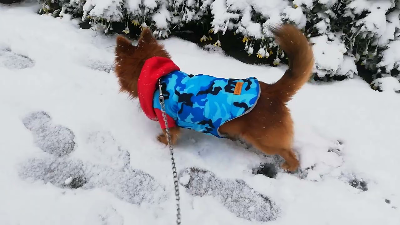 karda yürüyüş walking on snow