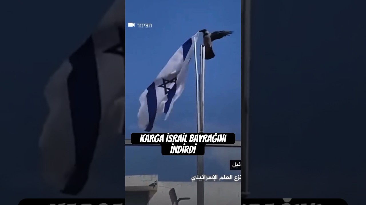 Karga İsrail Bayrağını İndiriyor