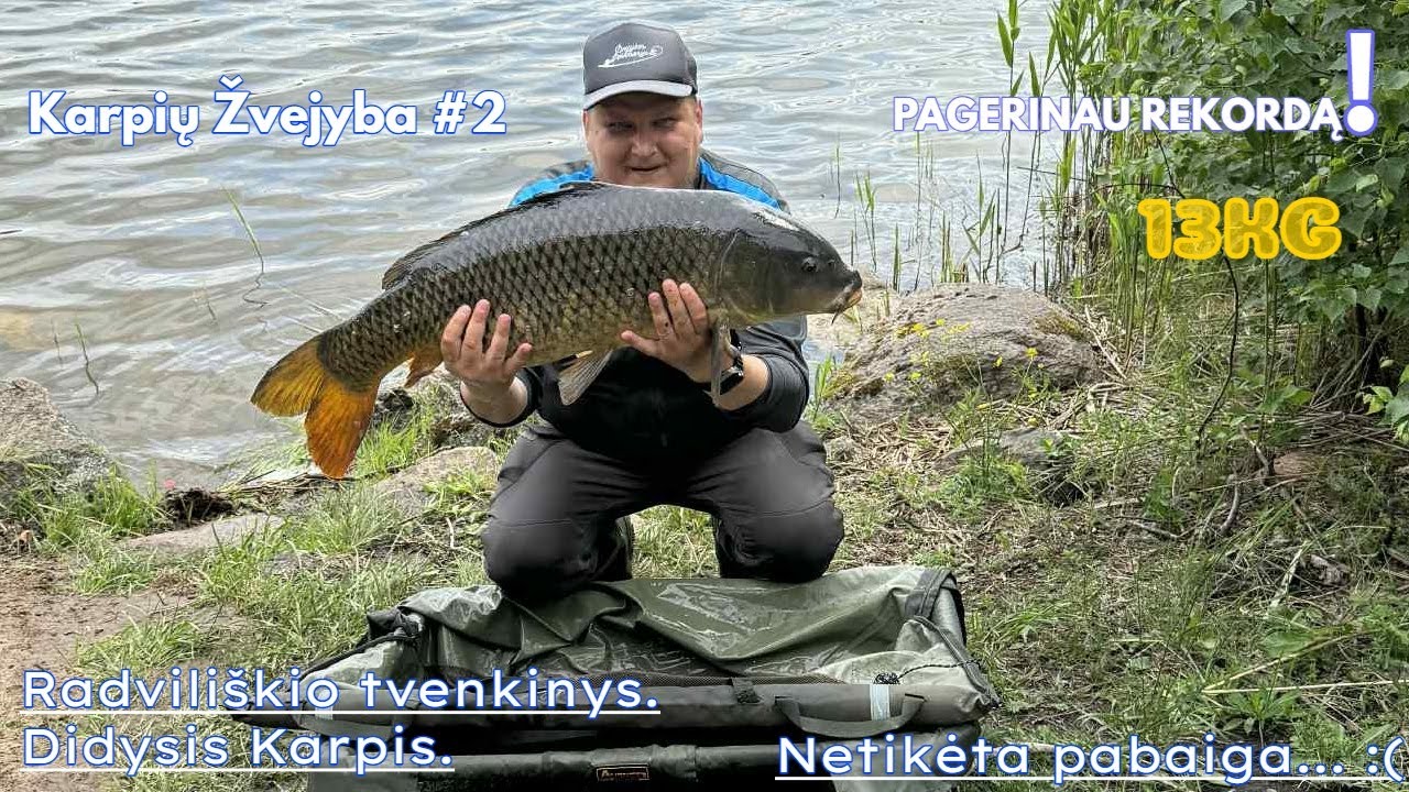 Karpiai Radviliškyje – 13kg MONSTRAS ir Netikėta Pabaiga | Karpių Žvejyba #2