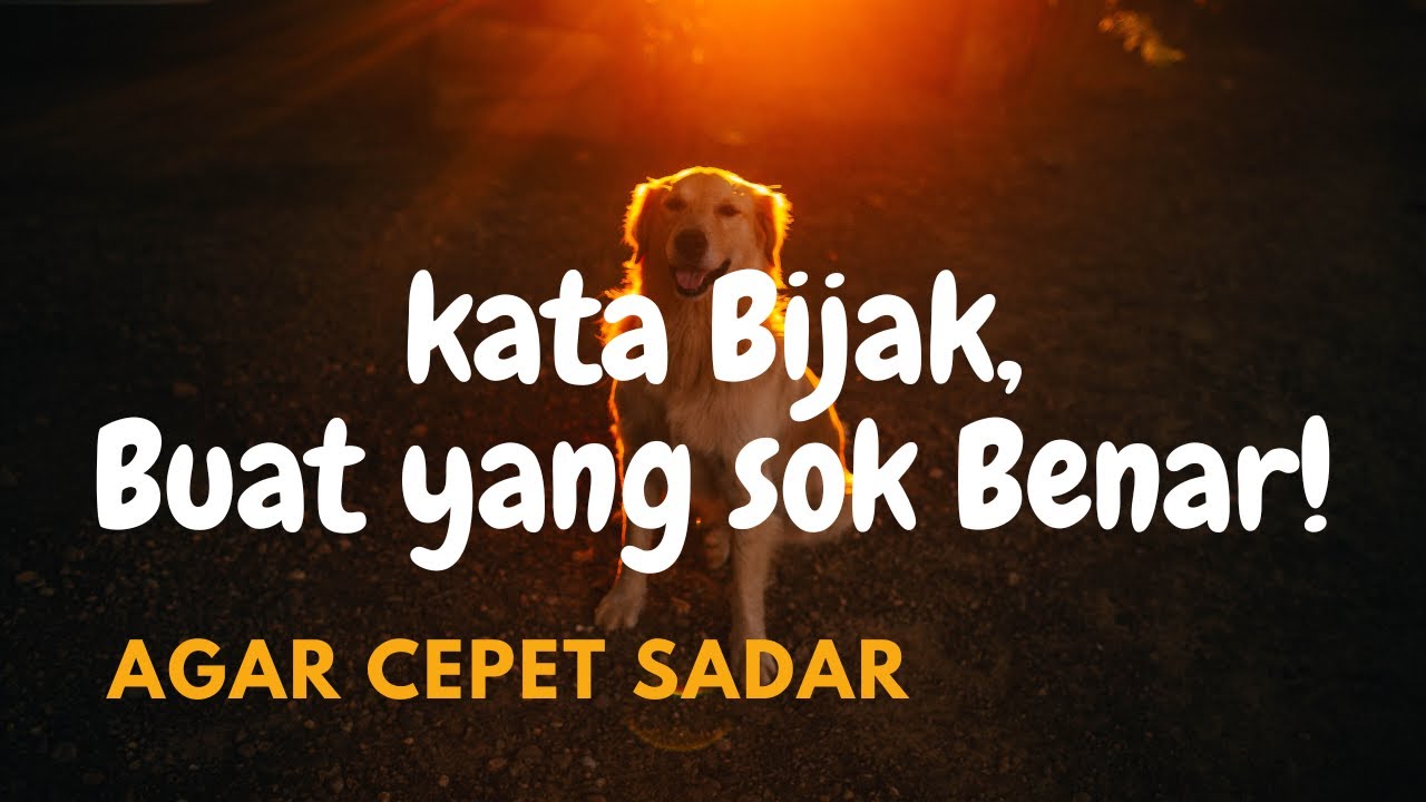 Kata kata bijak (:) kata sindiran buat orang sok benar | kata semangat hidup