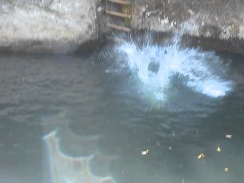 Kathy CR cliff dive