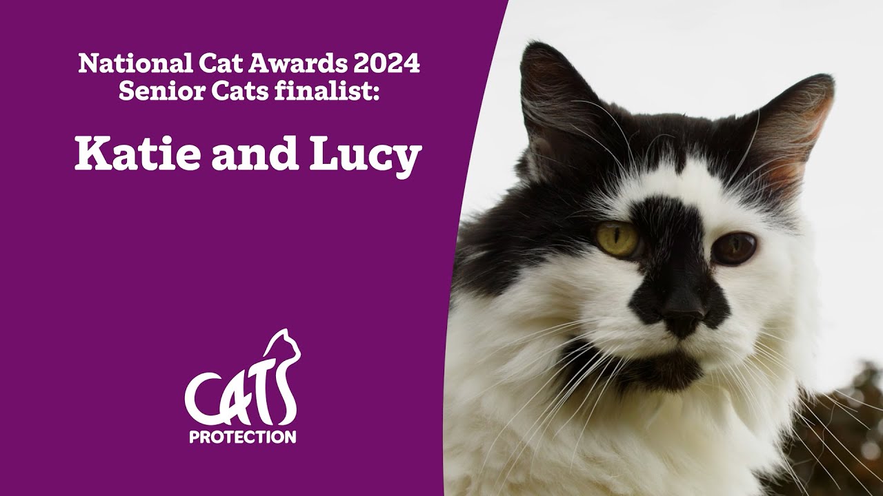 Katie and Lucy | The cats who made Alzheimer’s easier | National Cat Awards 2024