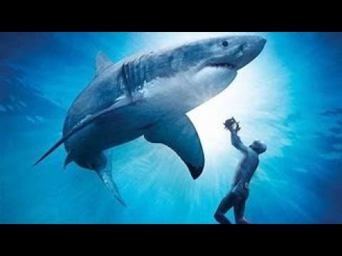 Katil köpek Balığı Filmi korku Gerilim | Türkçe Dublaj İzle