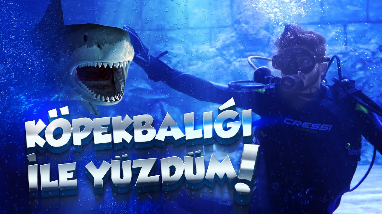 KATİL KÖPEK BALIKLARIYLA YÜZDÜM w/ARDA BEKTAŞ