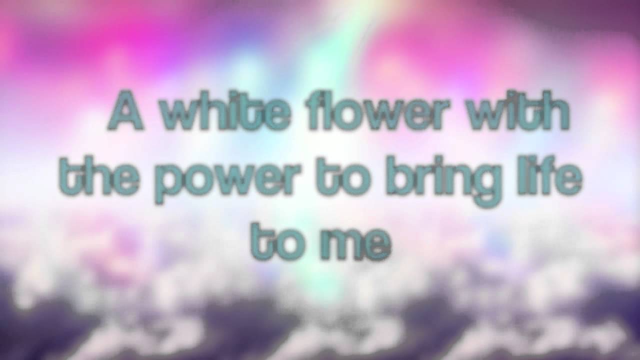 Katy Perry - HummingBird Heartbeat Lyrics